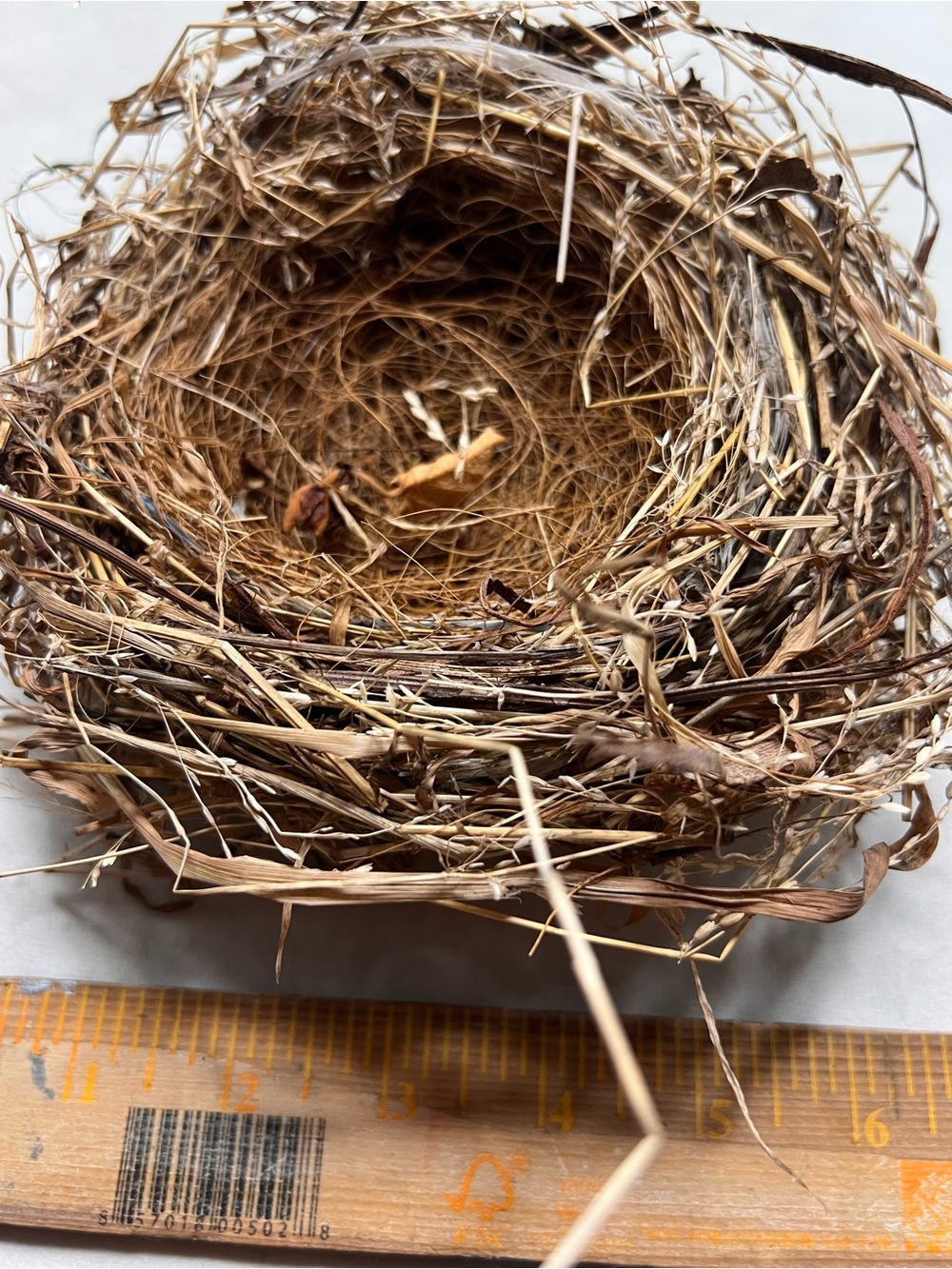 Natural Bird Nest Decorative Bowl - Rustic Brown